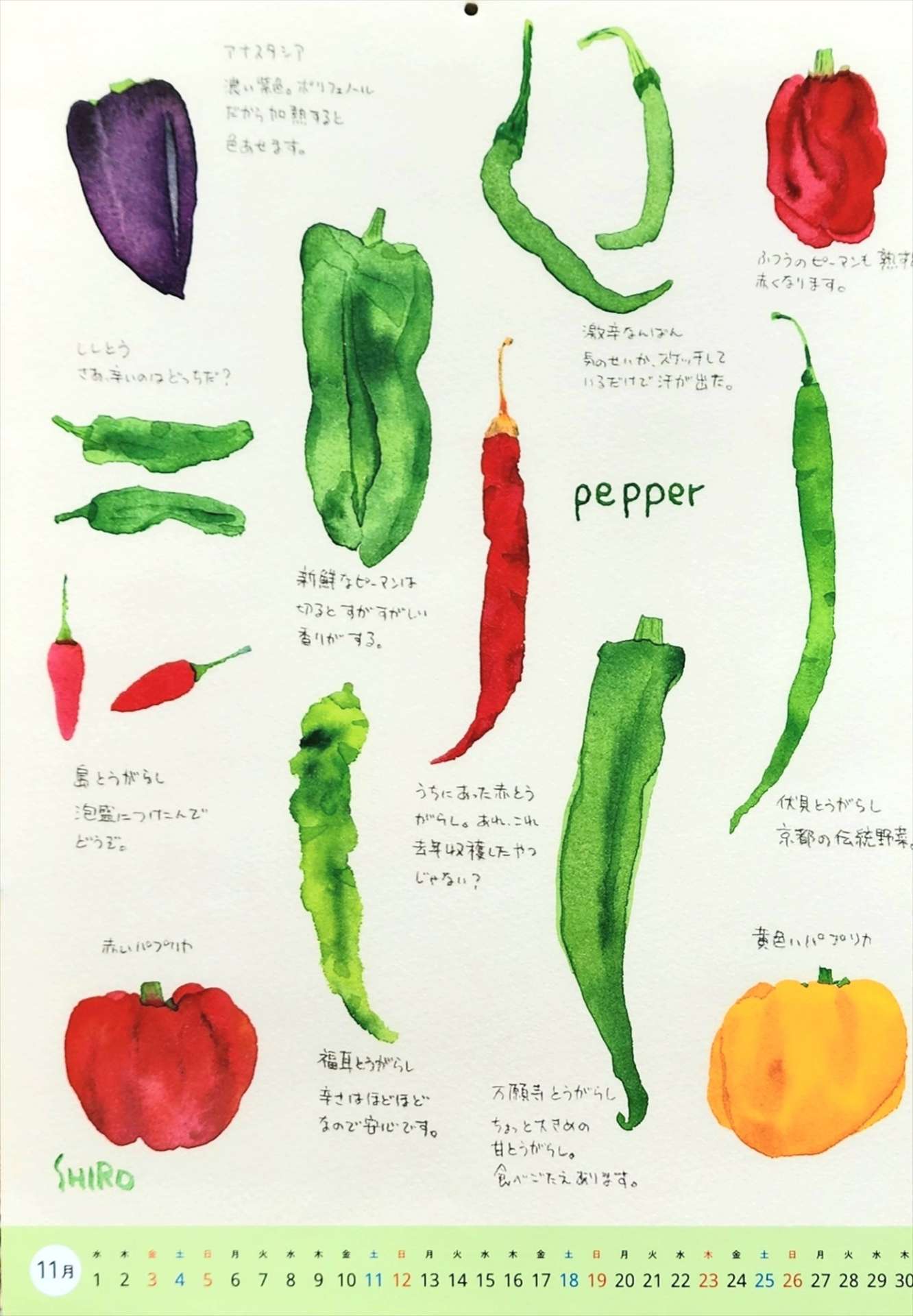 【11月の野菜カレンダーと休診について(^^♪】